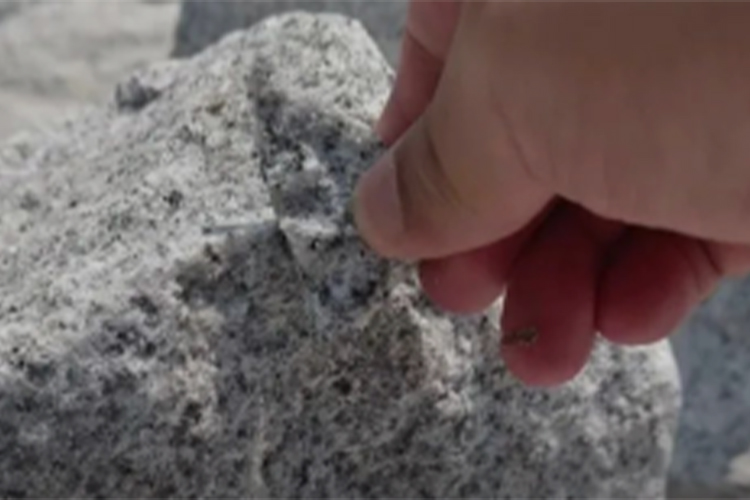 xʯO(sh)估a(chn)Ϥ֪