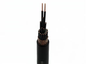晉州計(jì)算機(jī)專(zhuān)用電纜質(zhì)量可靠